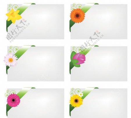 花朵丝带卡片矢量素材图片