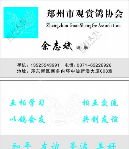 郑州市观赏鸽协会名片图片