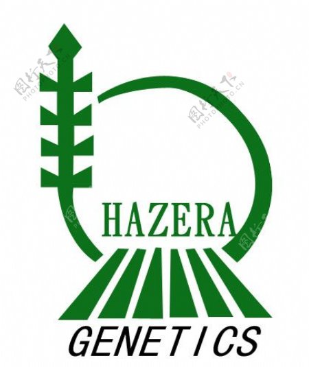 蔬菜海泽拉标志图片