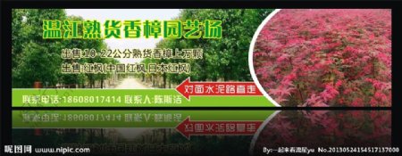 温江香樟园艺场喷绘图片