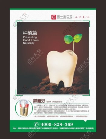 牙齿口腔海报图片