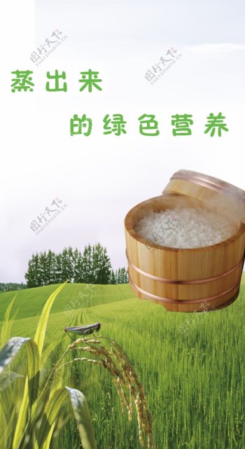 竹筒米饭图片