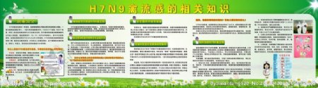 H7N9宣传栏图片