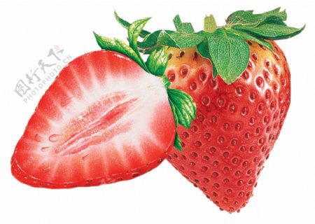 水果草莓2图片