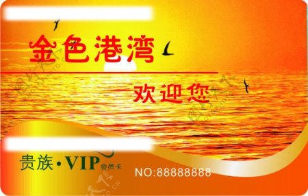 VIP会员卡图片