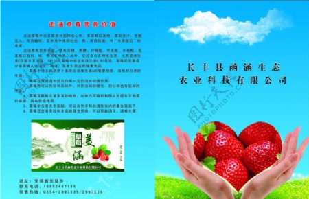 草莓画册封面图片