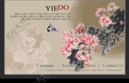 韩国精美花卉设计图片