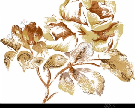 韩国金色花朵psd分层图片