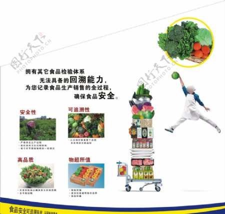 蔬果信息栏图片