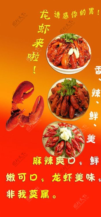 美味龙虾新上市图片