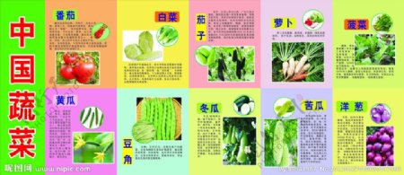 中国的各种蔬菜图片