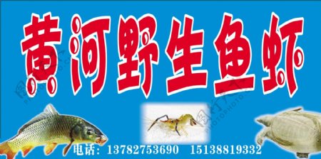 黄河野生鱼虾展版图片
