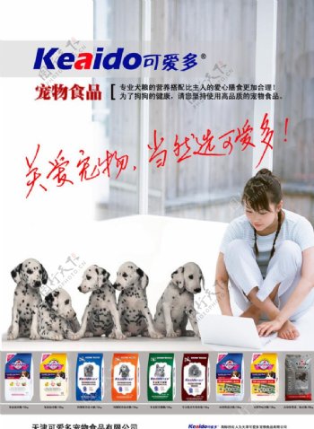 可爱多宠物食品海报竖版图片