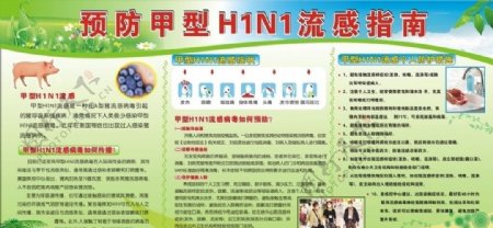 甲流感H1N1预防流感指南流感途径图片