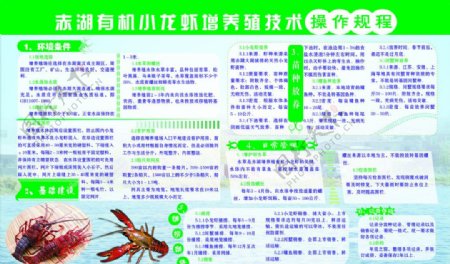 小龙虾养殖操作规程图片