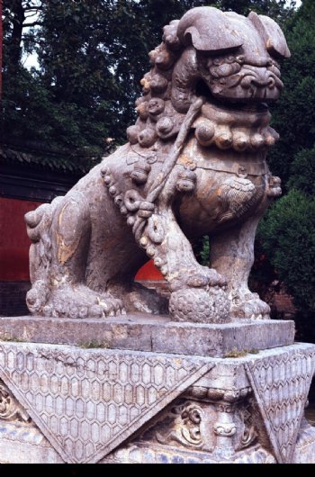中国雕刻0071
