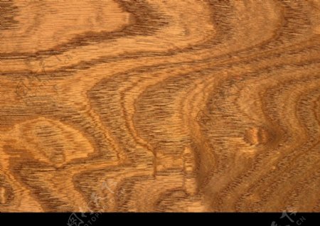 木料纹理0054