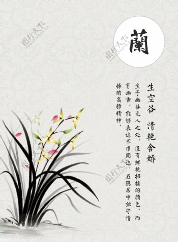 兰花图封面图中国风广告图