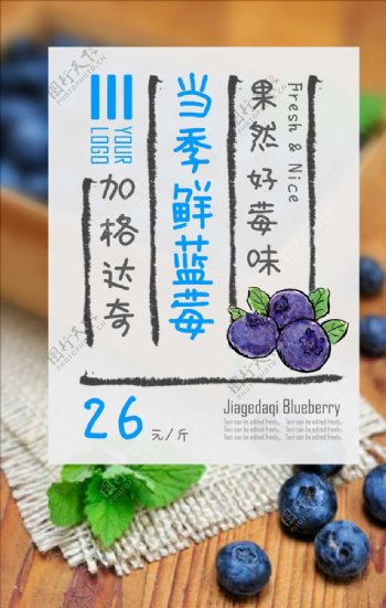 新鲜加格达奇蓝莓上市海报