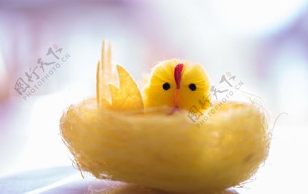 黄色雏鸡手工图