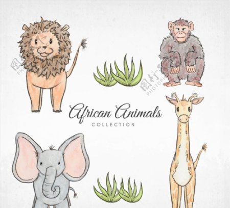 4款彩绘非洲动物矢量素材