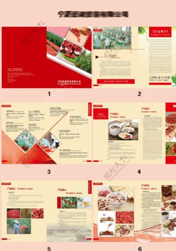 食品贸易有限公司宣传册画册