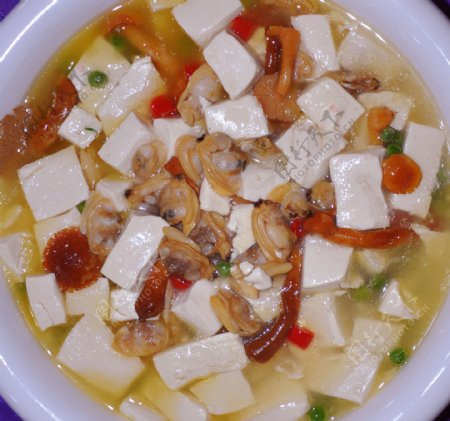 石锅文蛤豆腐