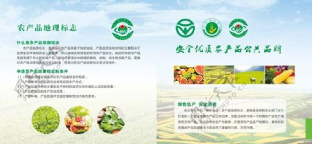 绿色农产品画册