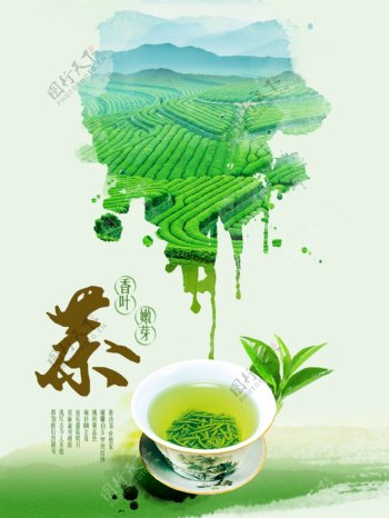 清香茶园茶文化