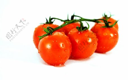 西红柿藩茄水果玻璃碗食