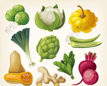 10款卡通蔬菜设计矢量图