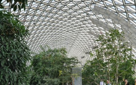 辰山植物园