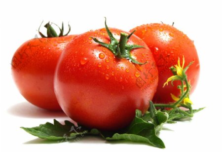 蔬菜水果番茄