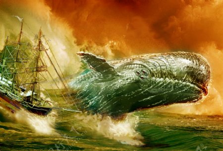 鲸鱼彩绘