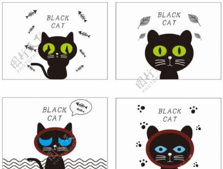 blackcat黑猫