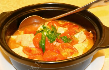 番茄豆腐煲