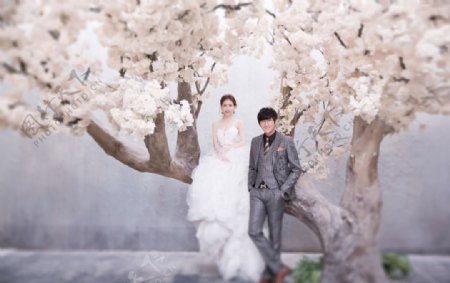韩式欧式中式婚纱照