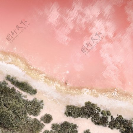 粉色海滩俯拍