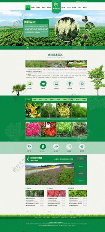 花木网站设计