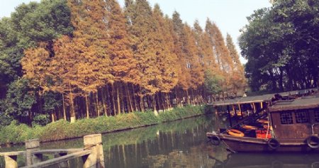 杭州风景