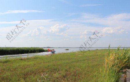 扎龙湿地