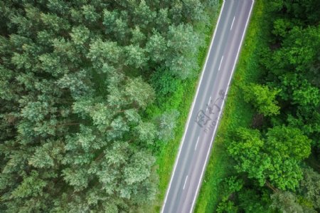 森林公路