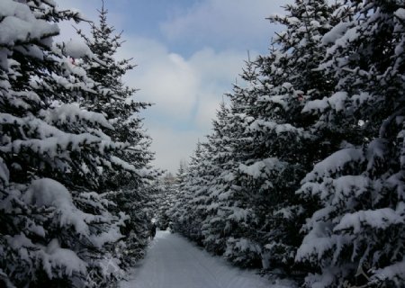 长白山雪景