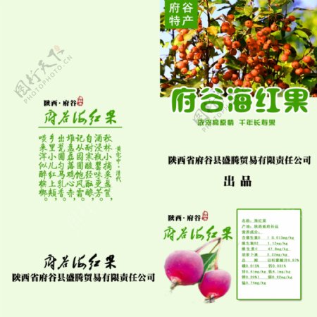 府谷县海红果宣传画册折页