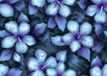 蓝色唯美浪漫花朵背景