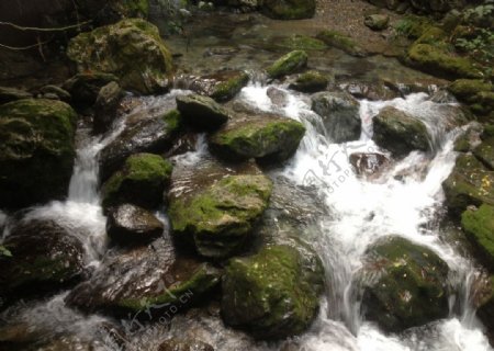 溪水戏石