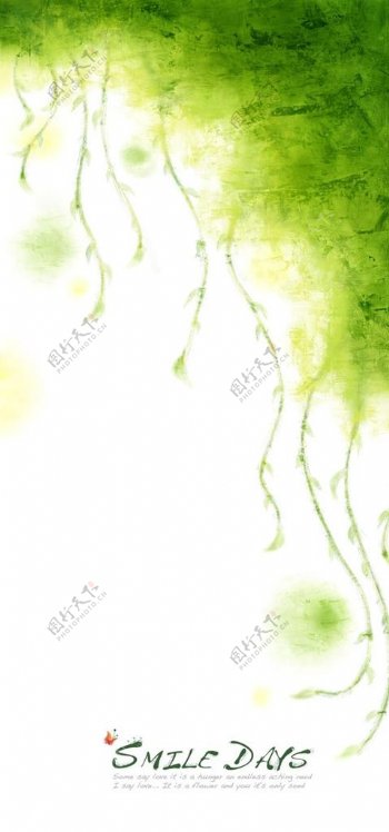 绿色彩绘低垂的柳枝