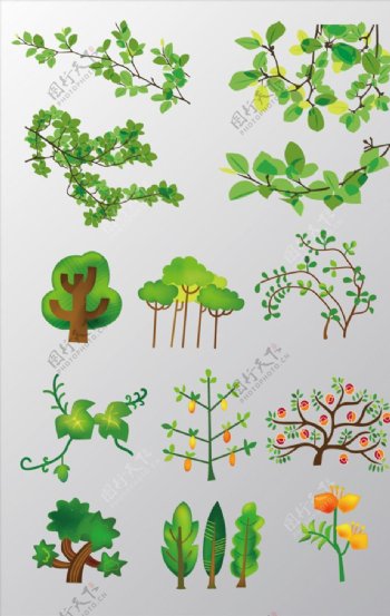 植物素材图