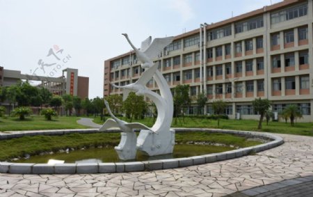 校园雕塑天鹅