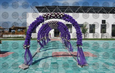 紫色的婚礼拱门